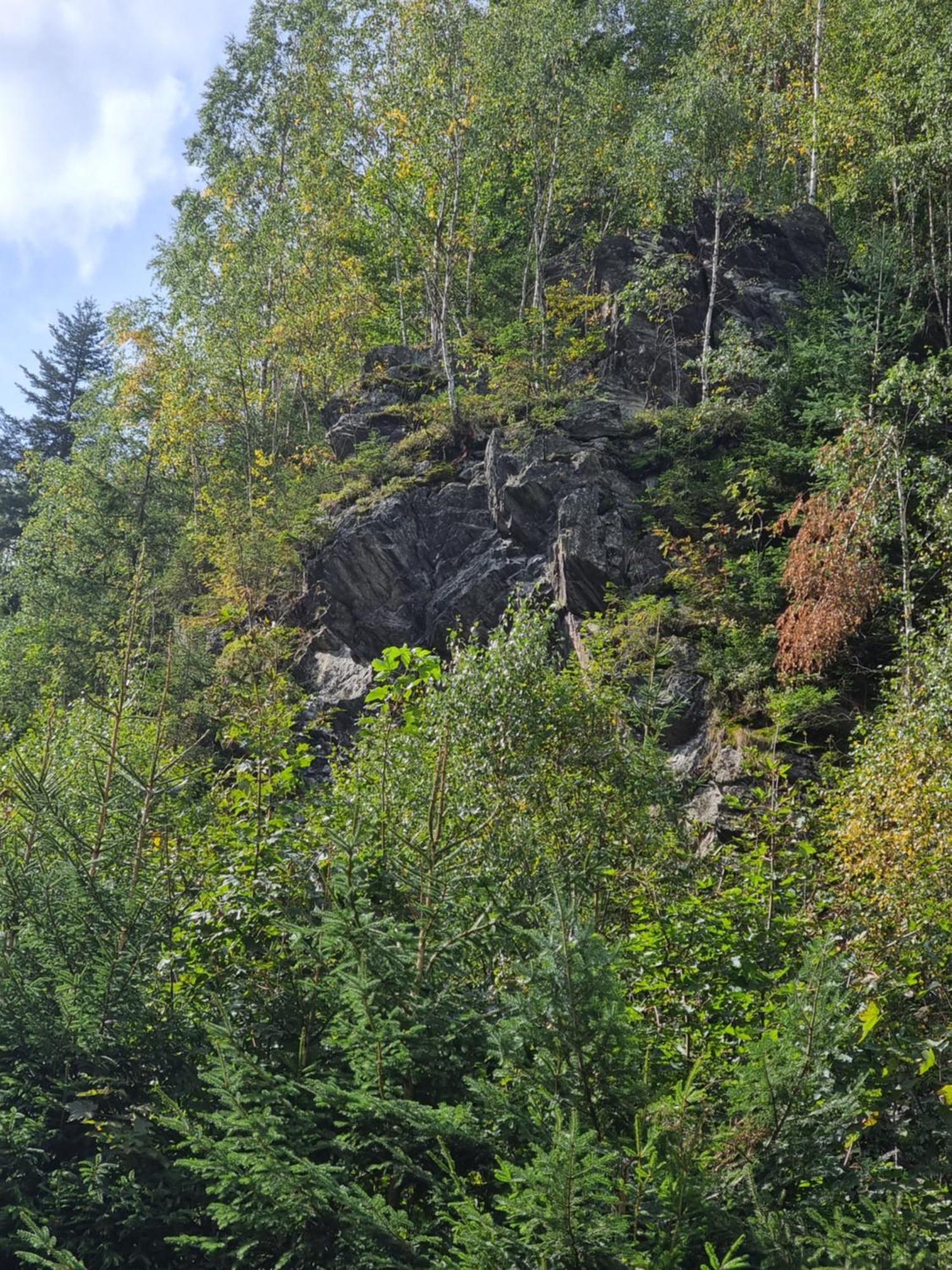 Roubenka Mlyn U Skaly Destne V Orlickych Horach Volne Terminy 5 Bytu エクステリア 写真